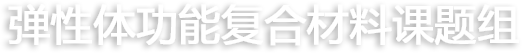 弹性体功能复合材料课题组 Logo