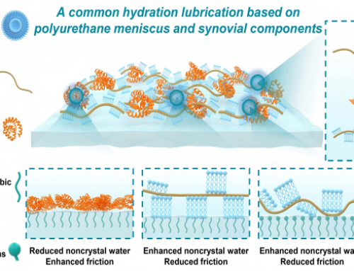 关节滑液改善聚氨酯半月板摩擦性能机理