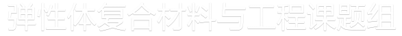 弹性体复合材料与工程课题组 Logo